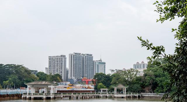 广州市|广州出现“相亲公园”，热闹如招聘会，游客热情高涨