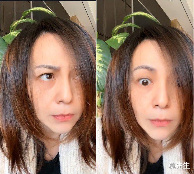 童锦程|25位明星上海居家隔离:陈赫朱桢聚餐,杜若溪晒菜,刘嘉玲看风景