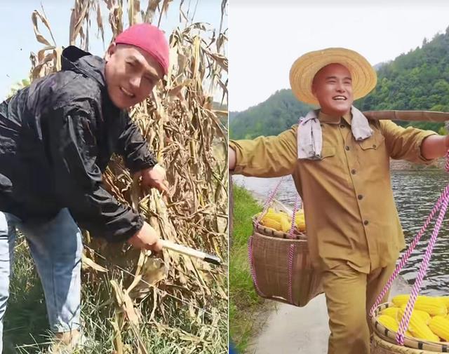 明星|8位明星下乡干农活：60岁曹荣喂猪、赶牛，王艳带手套摘豆角