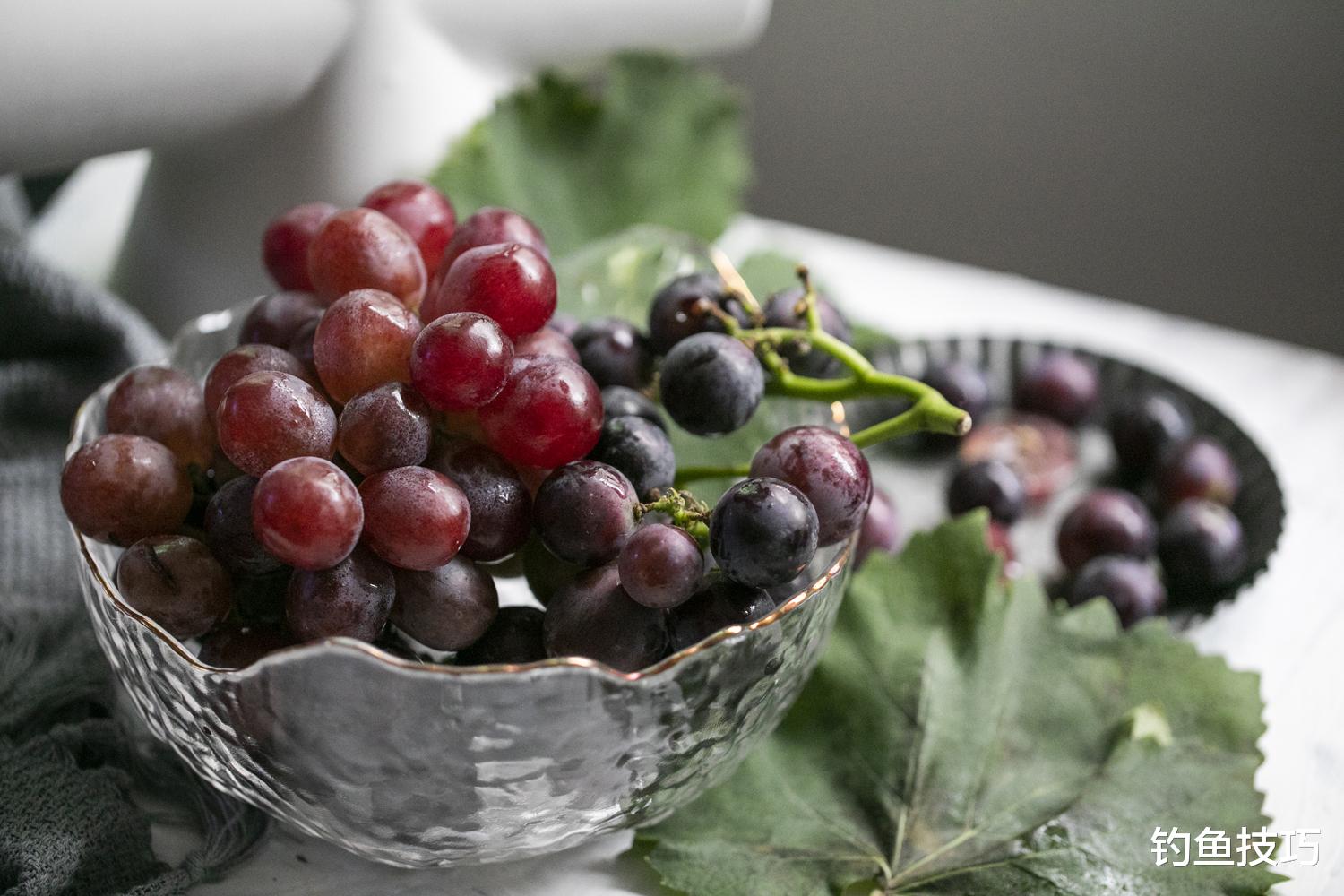 臭豆腐|臭豆腐钓鱼有奇效?不仅是臭豆腐,西瓜皮、罐头等都可以用来钓鱼