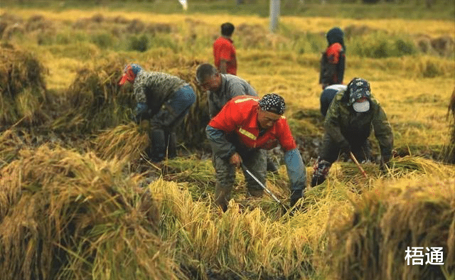 房贷|40岁的家庭,拥有多少资产才算正常水平?