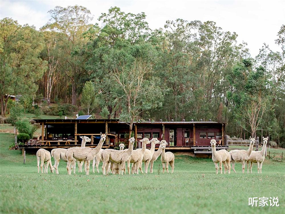 夫妻俩买下1950年废弃火车,将一节车厢变成70㎡小家,太有特点了