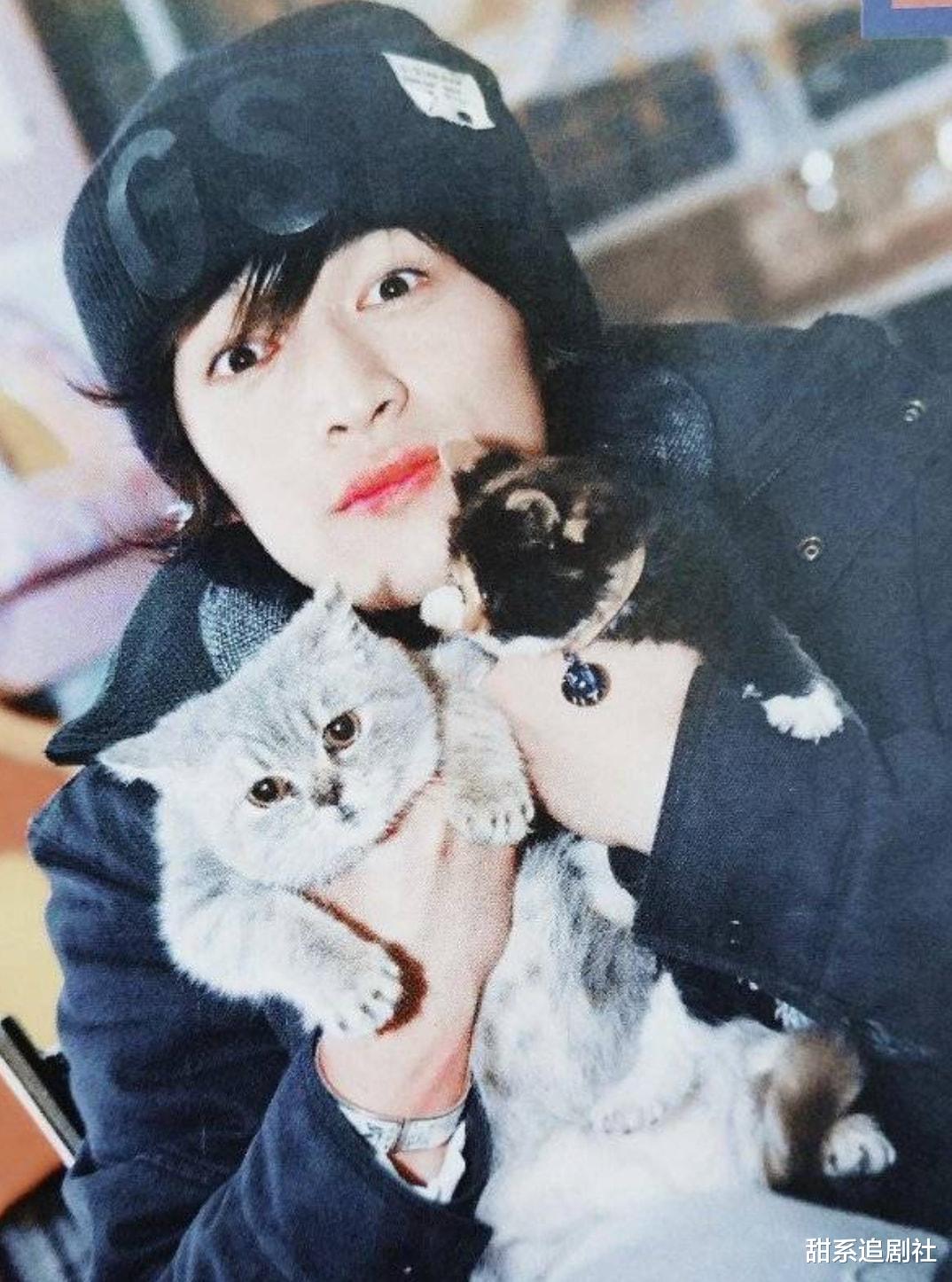 胡歌|胡歌新电影，阵容有惊喜？黄磊、吴磊都曾出现！