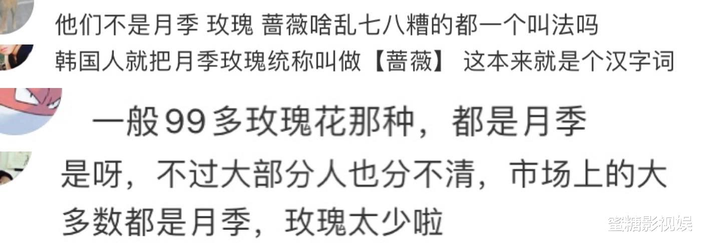 李栋旭|李栋旭终于老了？晒玫瑰花登热搜第一，网友：像小区绿化带里拍得
