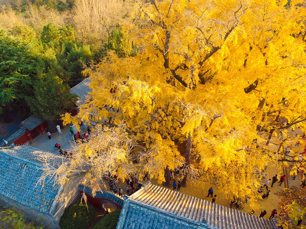 千岛湖|来秀山县可以看看这几个好玩的景点，风景优美，给你带来很好的体验