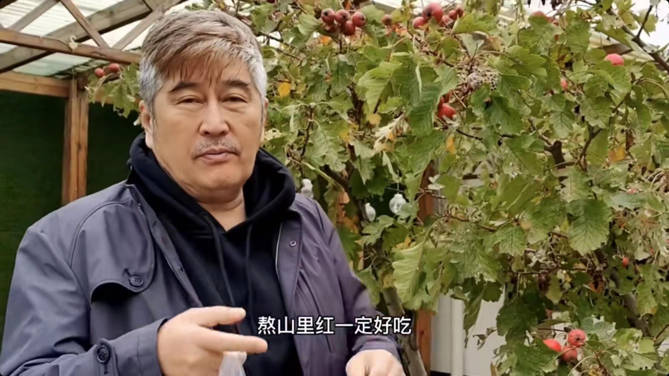 林威|港星林威浙江当志愿者！头发花白忙前忙后，长居内地住古朴农家院