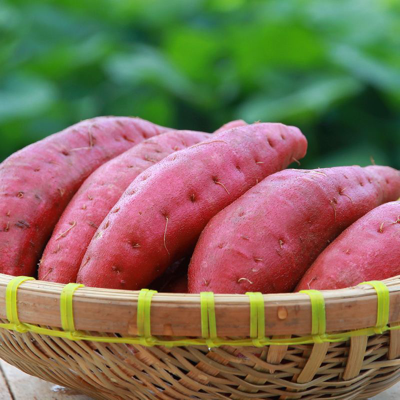 土豆|土豆号称“天然泻药”配它一起吃,排出臭宿便,体重悄悄降下去