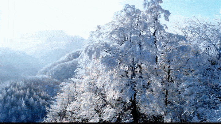光雾山|冬天的光雾山期待你来！大坝雪场蜕变升级，滑雪嬉雪“华丽变身”
