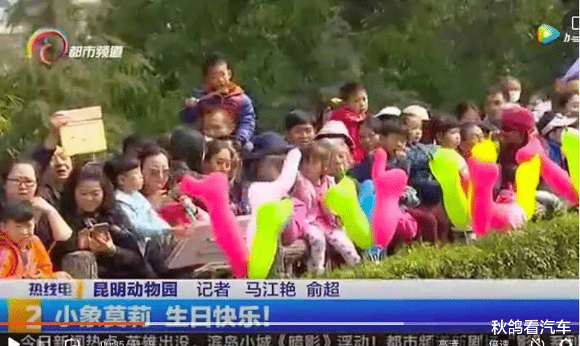 陈柏霖|突传噩耗！大明星沦为阶下囚，刺痛半个中国：她的近照，我不敢看