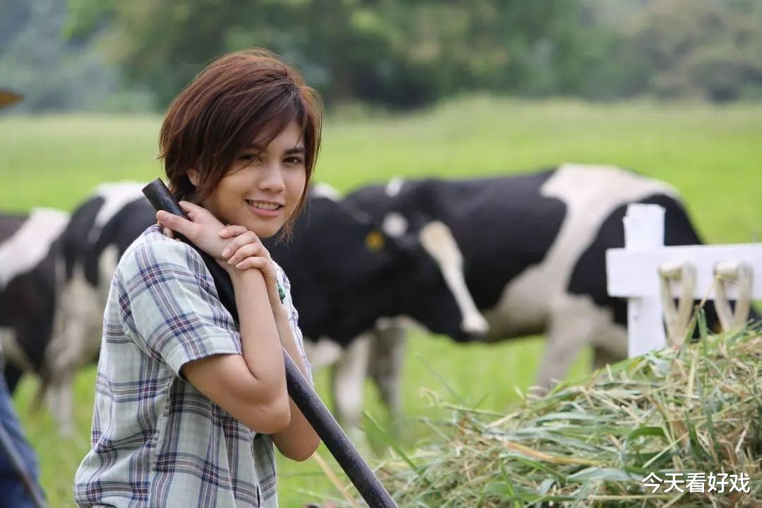 陈楚河|偶像剧里那些多少有点不直的男主