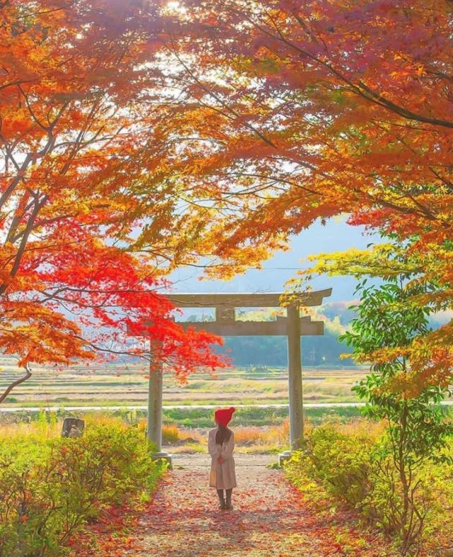 宫崎骏|日本爸爸把女儿拍成宫崎骏动画，治愈无数人，每天都有上万人催他晒娃！