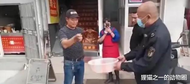 男子50元买“海怪”竟是国保中华鲎,繁衍亿年,拥有众多古老特征
