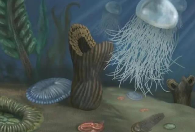 远古竟有无头、无口、无四肢的生物?走向深渊的埃迪卡拉生物群!