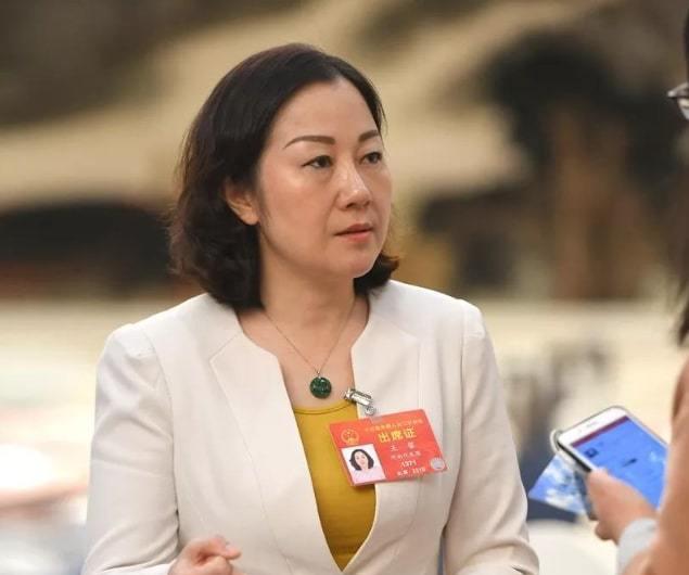 河南南阳新晋“女首富”王馨,16岁辍学打工,如今身价122亿