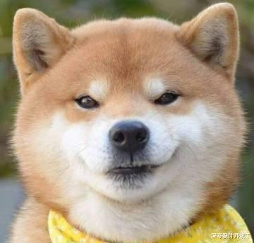 真假飘窗到底有什么不同?假飘窗可以砸掉扩容,有承重墙的真飘窗不可砸