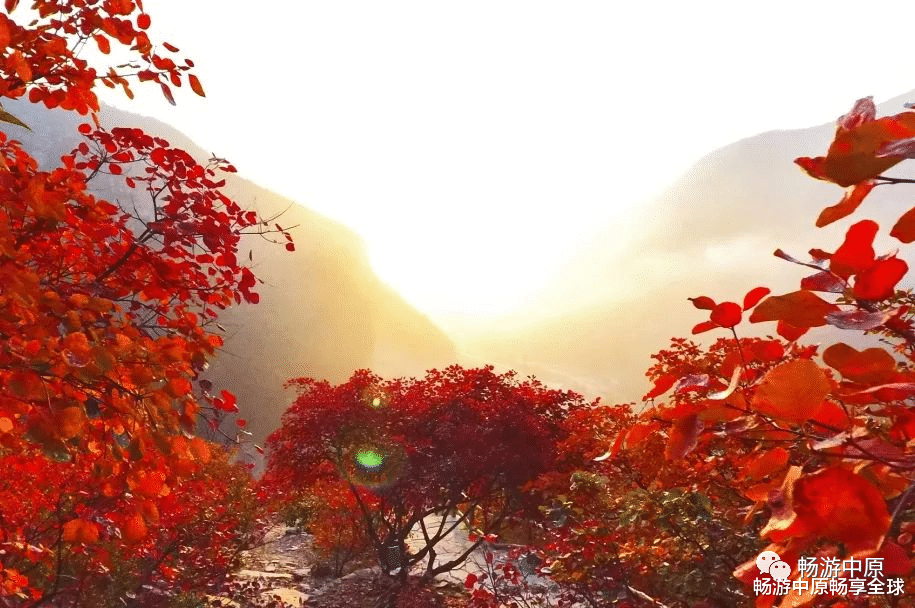 安阳|安阳洹河峡谷：晚秋时节，观光休闲的好去处
