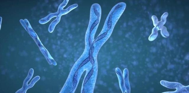 人类是否能打开基因锁?被封印的巨人,就在人类的17号染色体上