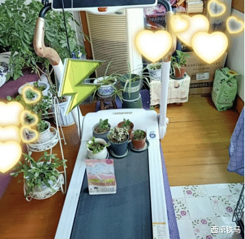 断舍离之后,这10样东西说什么都不会再囤了,全是贫穷家庭的通病