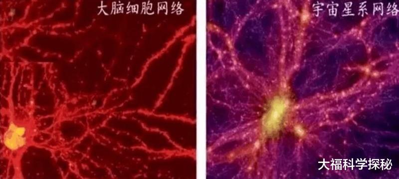 科学家表示,宇宙可能是个巨大的生命体,从人体大脑就可解密答案
