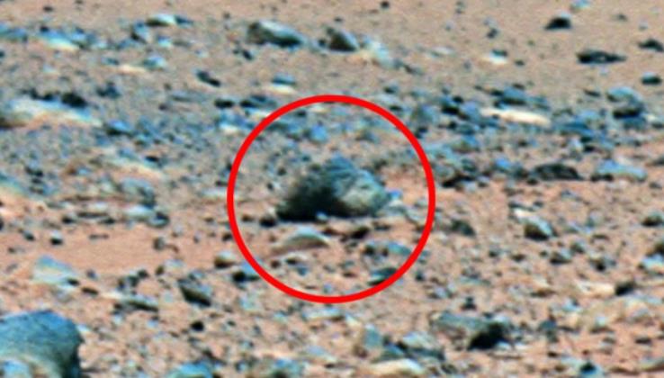 探查设备拍摄到火星表面的“蜥蜴”，NASA对此为何沉默不语？