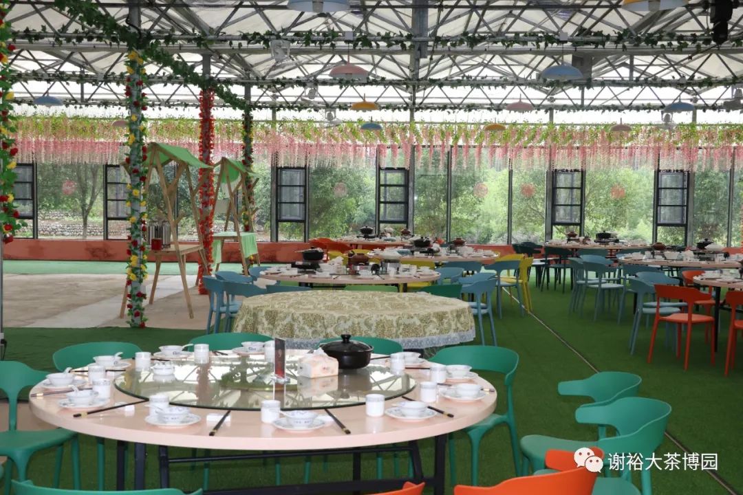 安徽|安徽人游安徽 | 国庆假期到谢裕大茶博园 嗨玩一整天不重样!
