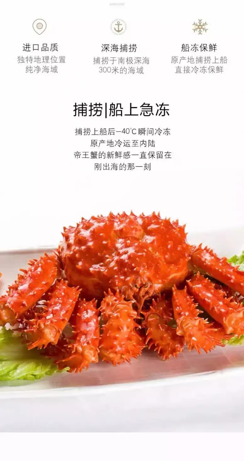帝王蟹泛滥成灾,席卷欧洲入侵南极,为何国内价格始终居高不下?