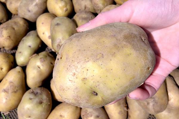 心脑血管疾病|心脑血管疾病患者,不注意这3点,心力衰竭可能就会找上你