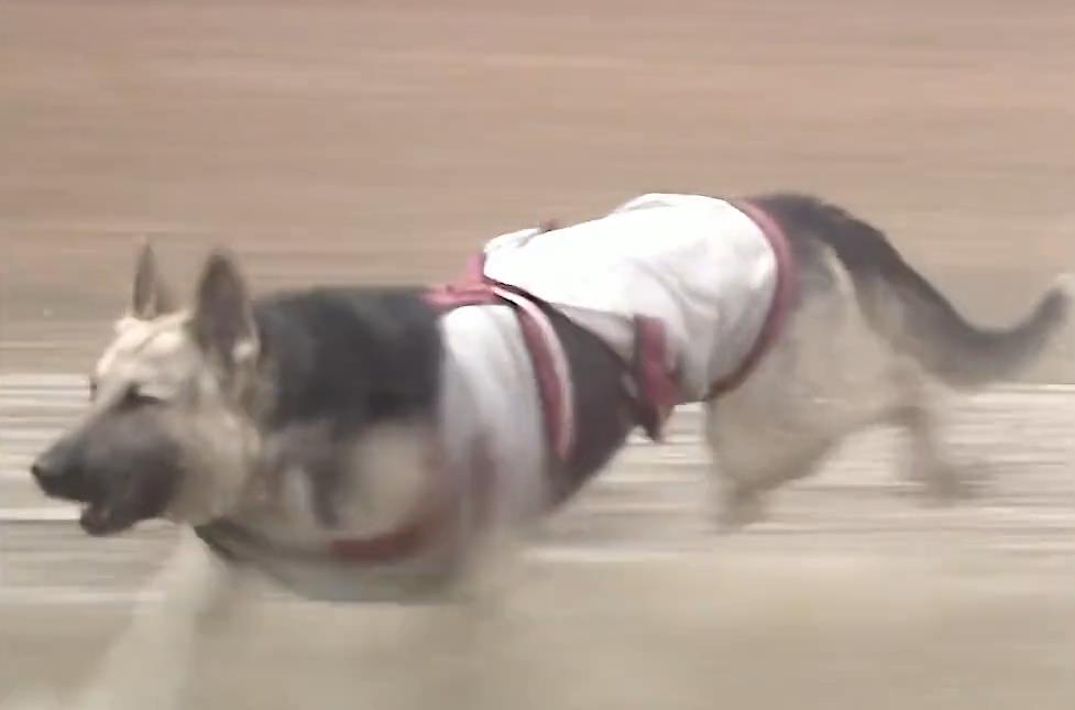 西游记|86版《西游记》30个穿帮镜头：以前看过那么多次，居然没发现