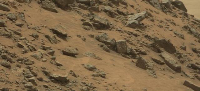 火星探测器机遇号,拍到“火星蜥蜴”?这真是火星上的生命体吗?