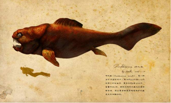 没有天敌的生物——邓氏鱼，竟能将5000千克的岩石咬成粉末？
