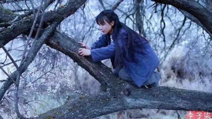 李子柒|消失近一年的天后——李子柒终于复出，背后隐藏的真相，让人难以咬牙切齿。