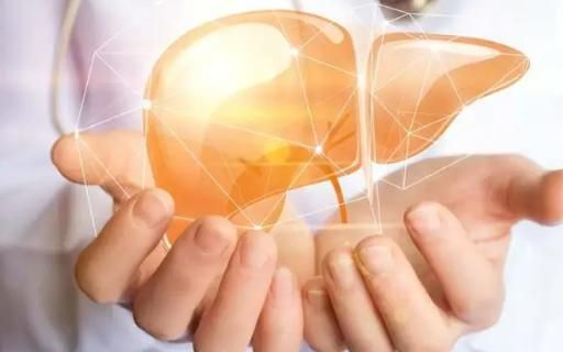 运动|有的人手臂“青筋暴起”,而有的人几乎看不到青筋,哪种更健康