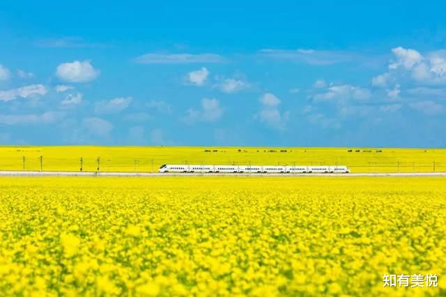 |暑期旅行地推荐：国内10个避暑绝佳之地，让你过一个清凉的夏天！