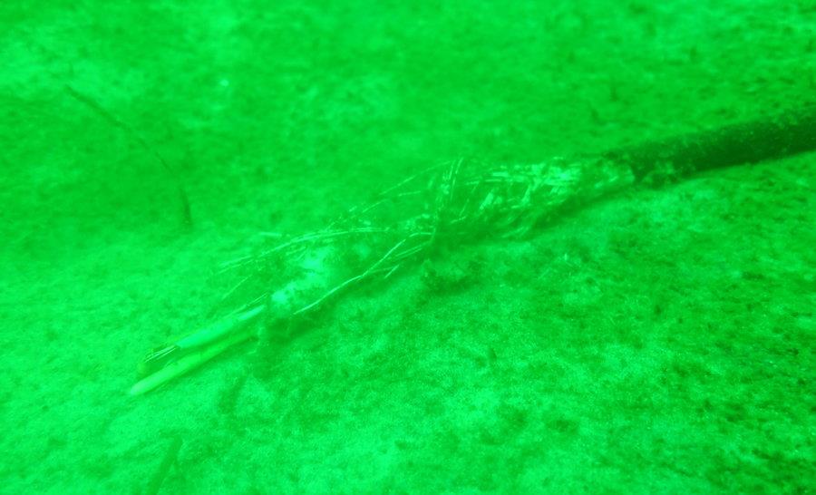 海底电缆被剥皮,价值30万仪器不翼而飞,到底谁干的?