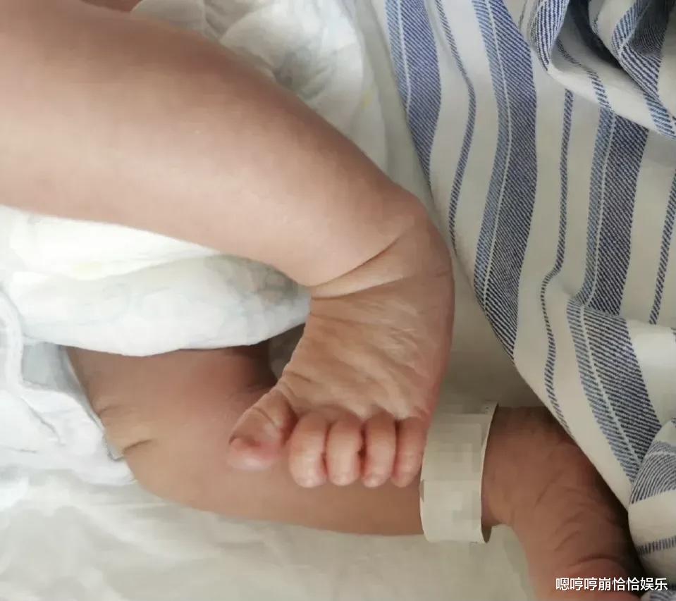 任鲁豫|今天娱乐圈最大的温暖,是任鲁豫给的!