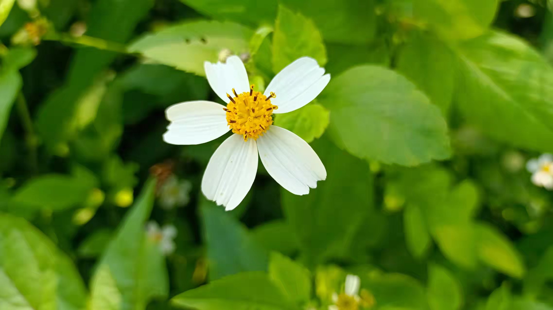 南非|中年,我在深圳失业 ——一位深圳失业中年人的自白