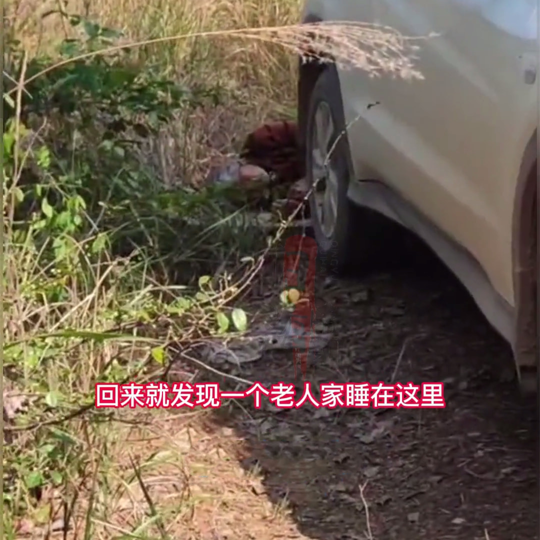 朝鲜|男子停好车去钓鱼,回来一看有老人躺在车轮后,老人:你撞我了