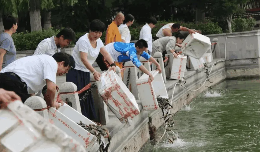|放生佬遇暴躁钓鱼佬,德国一女子要求钓鱼佬放生,一把被推入河中
