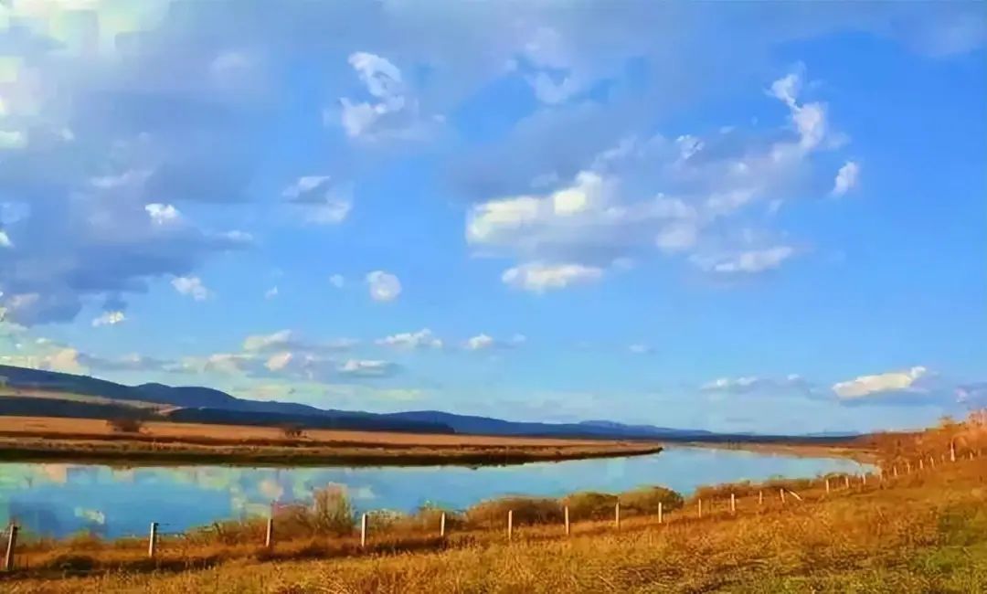 草原|【畅游陇原】这里有条古老的河——后川河