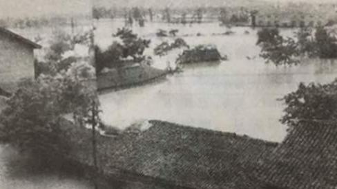 1983年安康水灾：洪水让蛇无家可归，遍地蛇群后来怎样了？