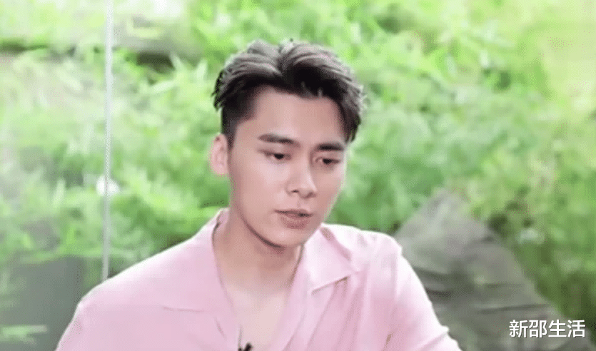 保剑锋|红得快,凉得也快!这9位“风光不再”的男星,有人太可惜了