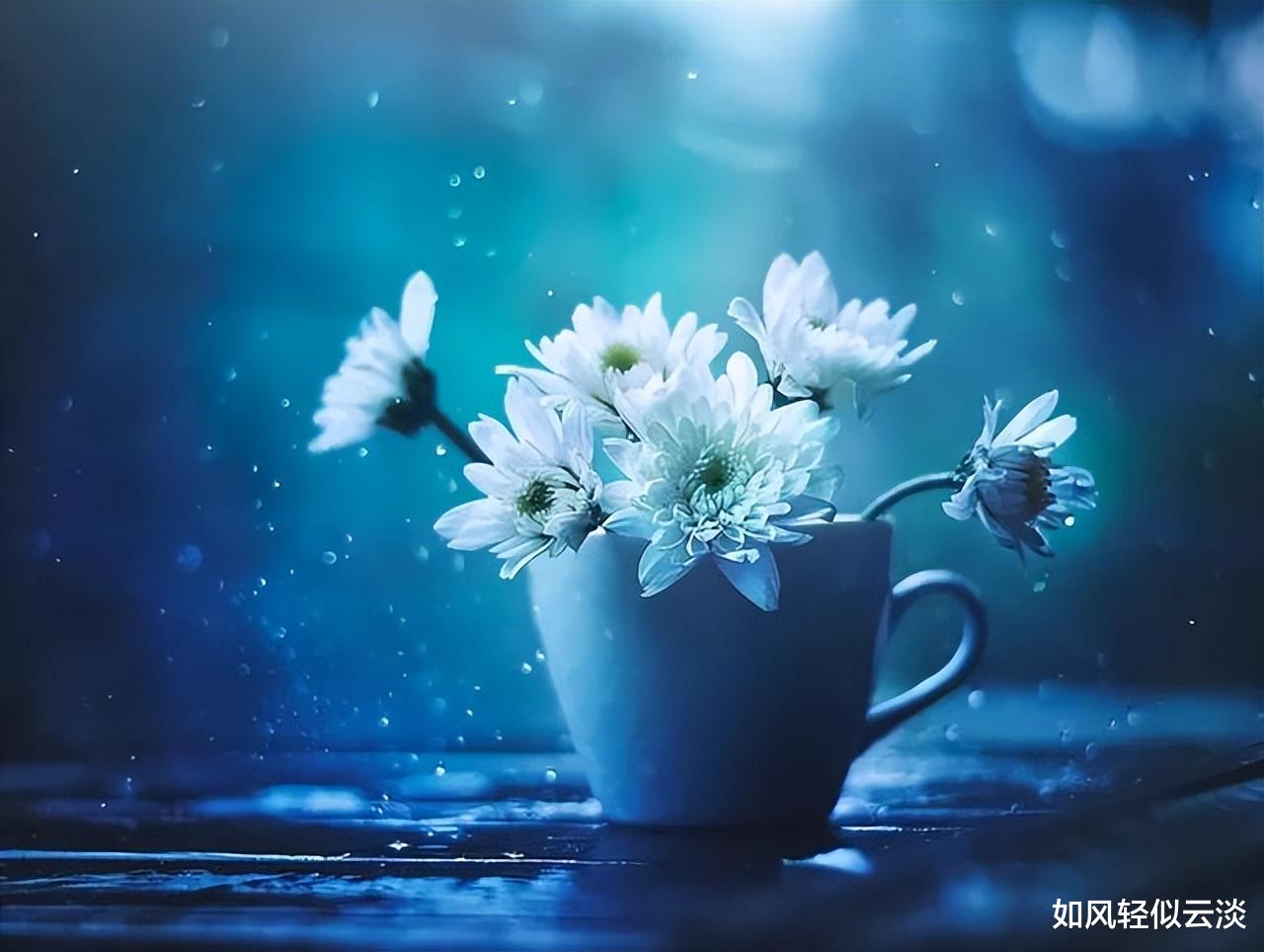 柿子|不想被人当软柿子捏，牢记这几句话