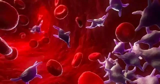 人类文明在几十年内崩溃的可能性,为90%?地球究竟怎么了?