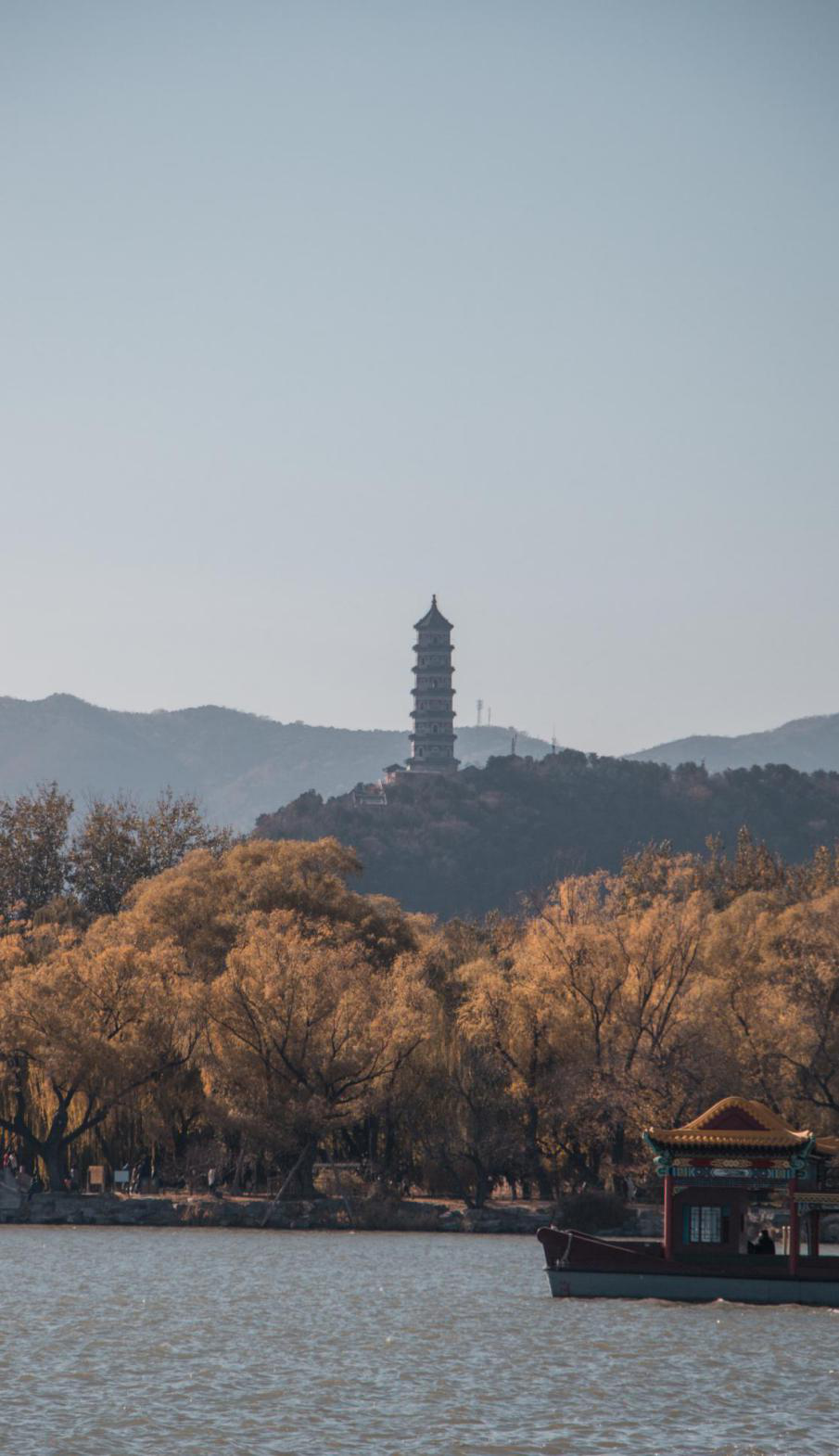 干货 | 教你学会拍摄金黄色的秋天