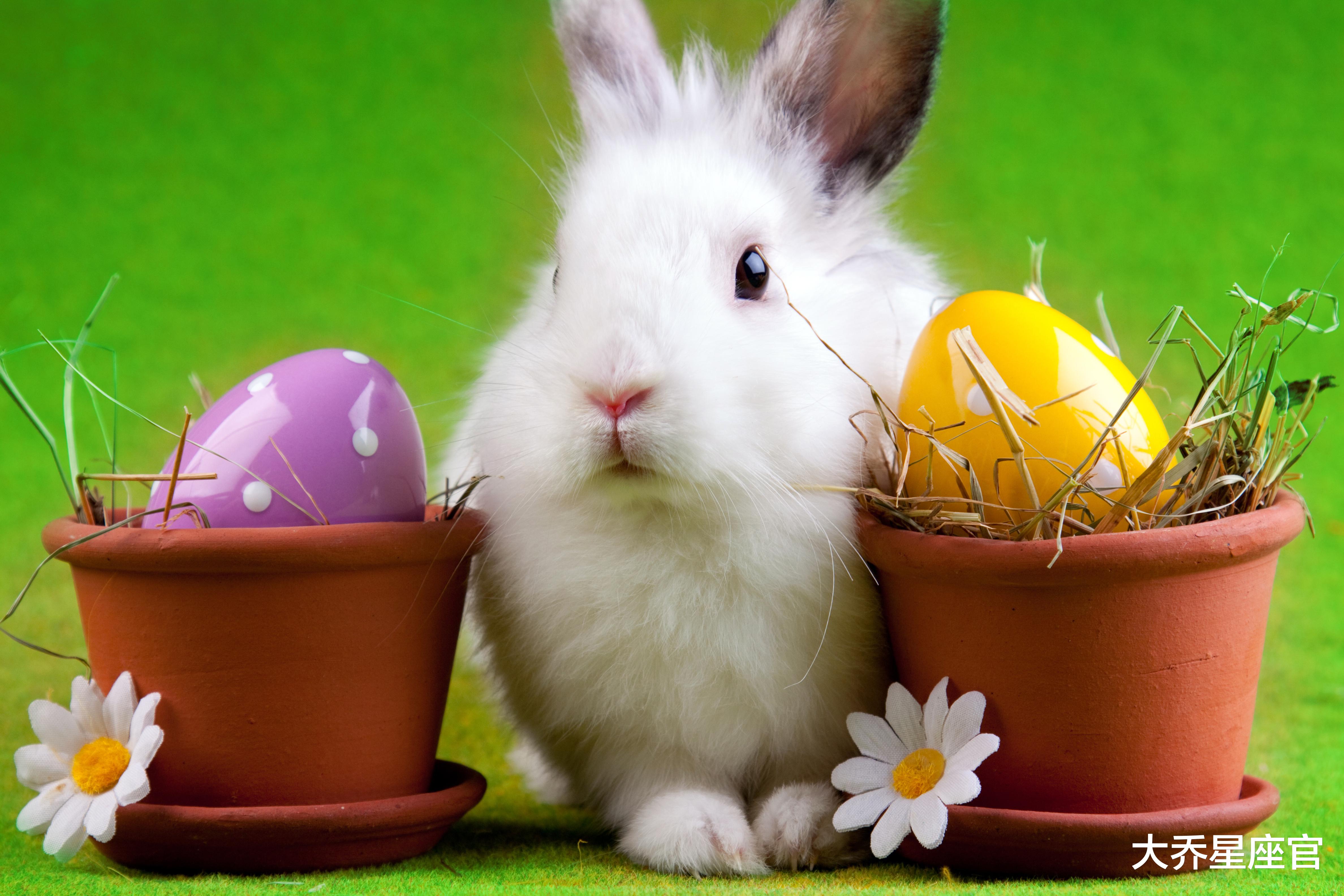 生肖|十二生肖中，哪些人4月底创造奇迹，鲤鱼翻身，事业即将大逆袭