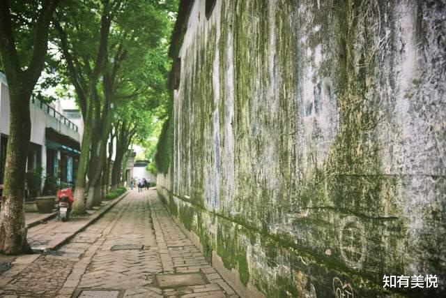 旅行|初夏限定风景!国内9个新奇又治愈的小众旅行地,即将美上热搜!