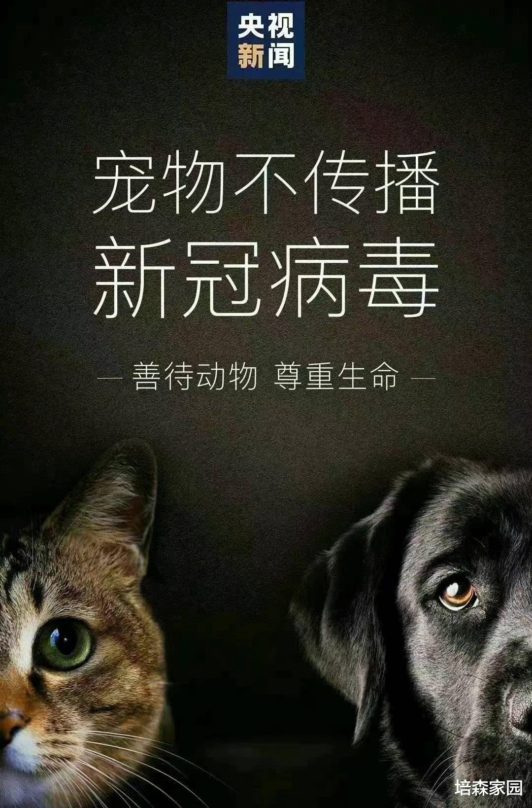 疫情下的那些人情味儿