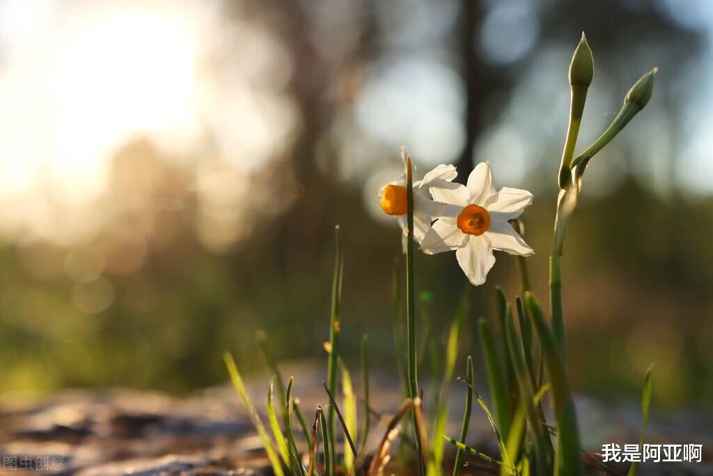 |真正聪明的人，早就戒掉了无效社交