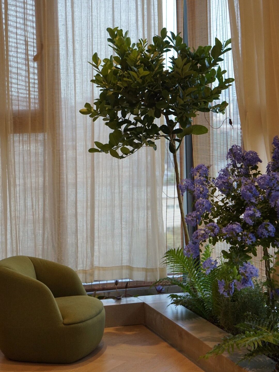 封闭式阳台,一样可以“造花园”,教你改造有花有鱼的室内花园