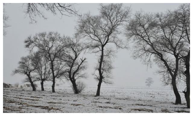 旅游商品|东北景点奇观:房子上看到“取暖”2字,可别当写着玩的